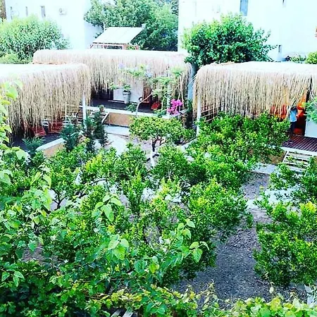 Alojamento de Turismo Selvagem Podbodrum Tiny House Bodrum